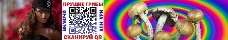 Псилоцибиновые грибы GOLDEN TEACHER Чулым