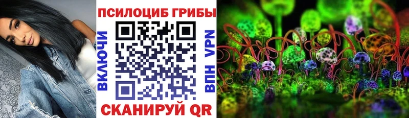 Галлюциногенные грибы MAGIC MUSHROOMS  купить  цена  Чулым 